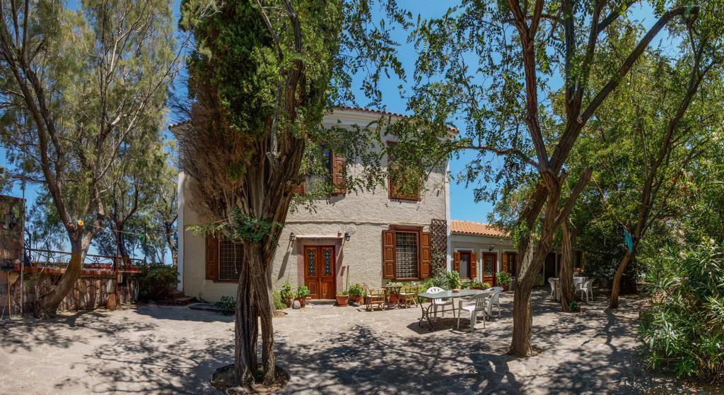 Lela Kaptani Eftalou Olive Grove Mithimna Buitenkant foto