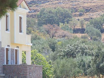 Lela Kaptani Eftalou Olive Grove Mithimna Buitenkant foto